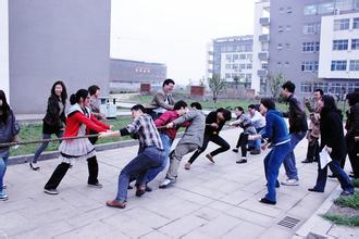视频七