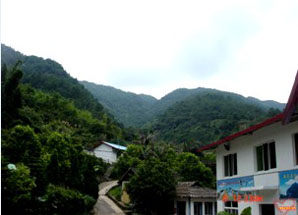 http://picture.no3.mfdns.com/upload/cases/wap_124/xiangmu1.jpg