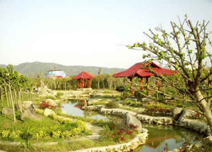 http://picture.no3.mfdns.com/upload/cases/wap_124/xiangmu6.jpg