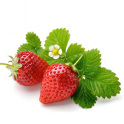瑞麦丰 草莓360克*6盒 甜美回味 粉嫩透红 红霞草莓 村镇不发货